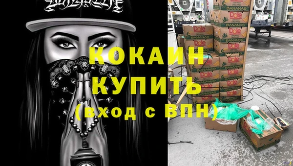 гидра Абаза