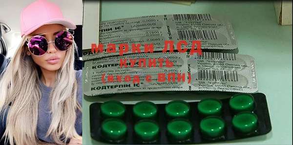 гидра Абаза
