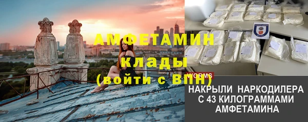гидра Абаза