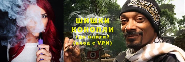 гидра Абаза