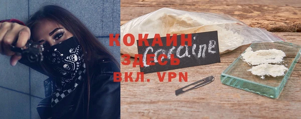 гидра Абаза